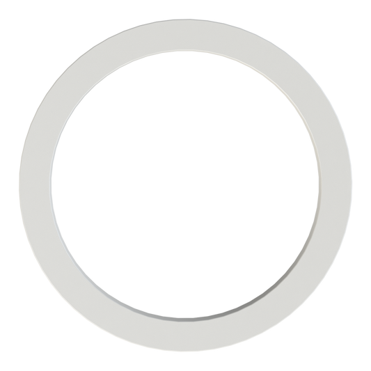 S60X6 (2'' BSP/NPS) Flat gasket, Olefin elastomer