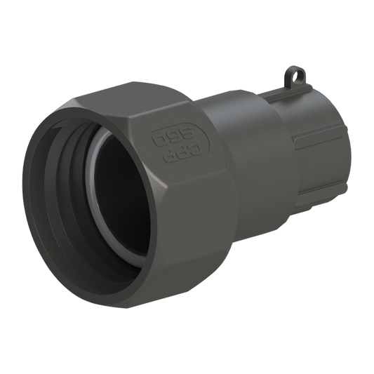 S60x6 Female swivel Buttress x 1'' BSP Female G/P/P