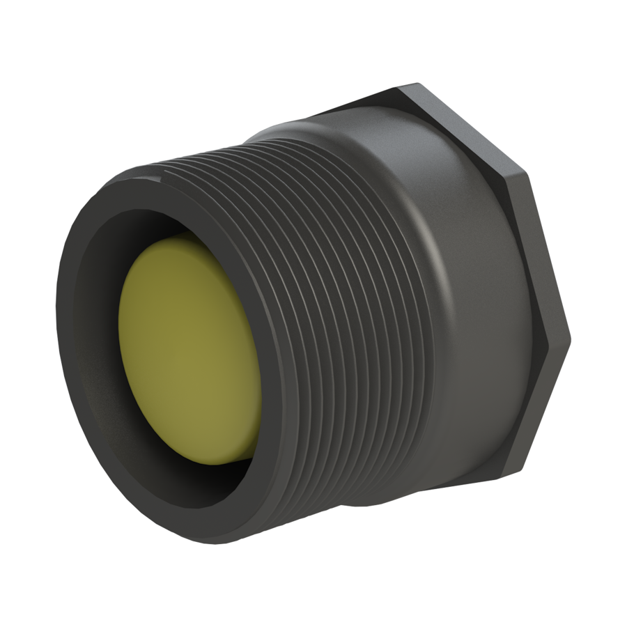 2" NPT male (short) x S60x6 female buttress C/W plug & seal