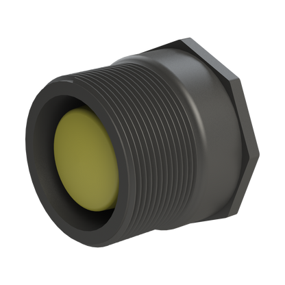2" NPT male (short) x S60x6 female buttress C/W plug & seal
