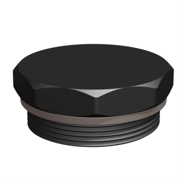 CPP® BCS G2 × 11.5 (2″ BSP/NPS) Drum Plug in black glass-filled polypropylene